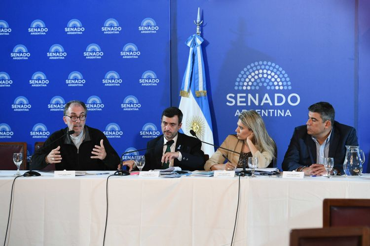 Propiedad en disputa: el Senado reactiva el debate y el modelo entra en tensión
