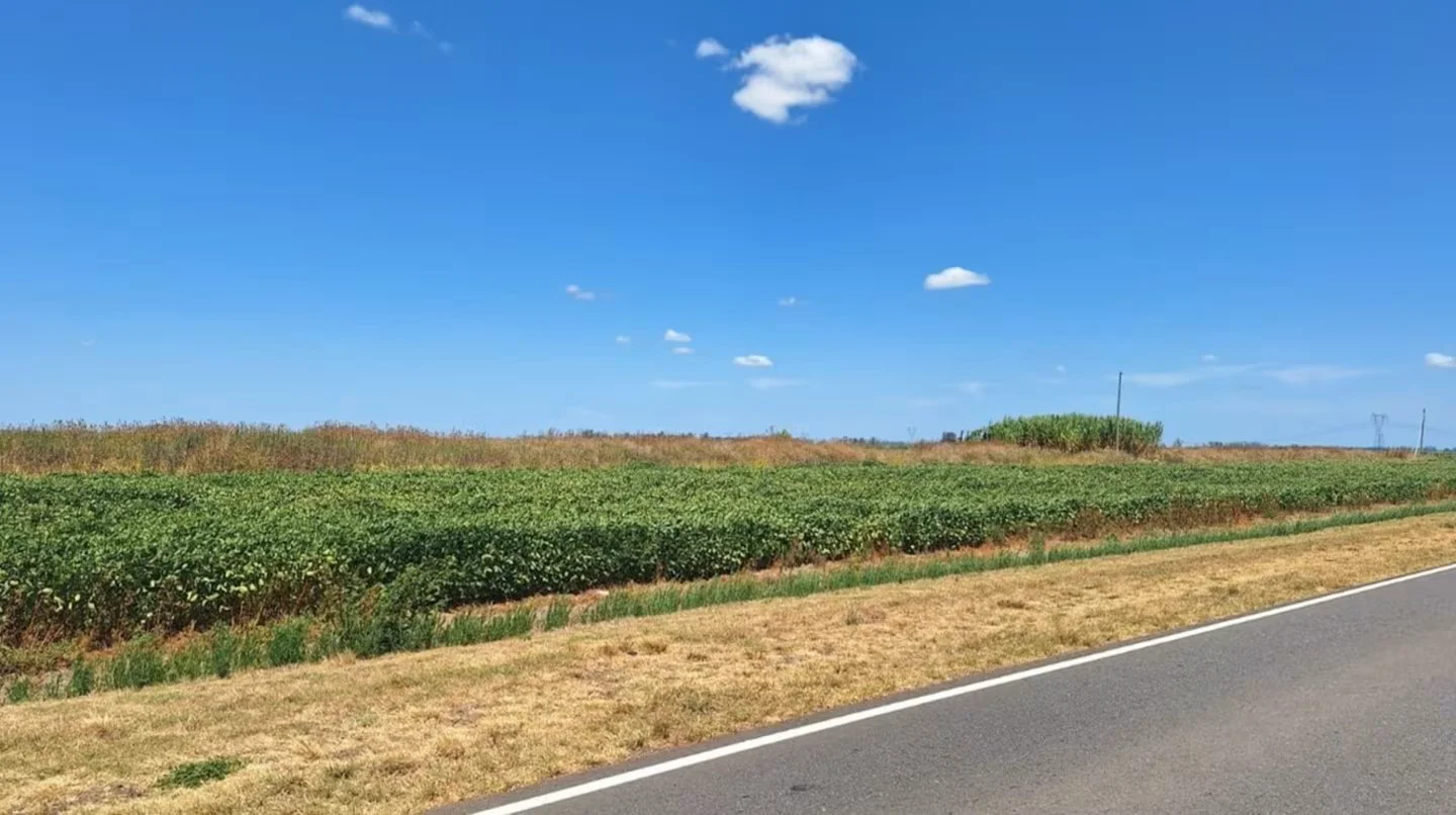 Con las arcas vacías, los intendentes salen a buscar recursos hasta en las banquinas