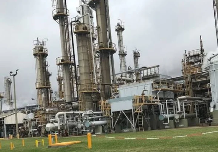 Pampa Energía cierra la última gran planta de caucho del país y pone en riesgo 200 empleos