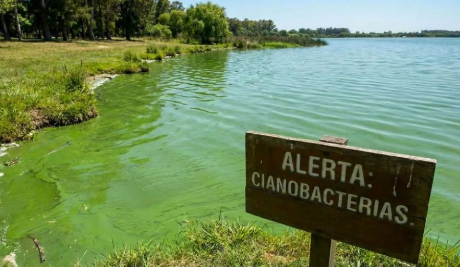 Alerta por agua tóxica: prohíben bañarse en ríos y lagunas de 17 municipios bonaerenses