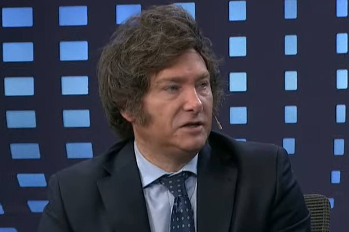 Milei quiere eliminar las PASO: la libre competencia termina cuando aparecen competidores