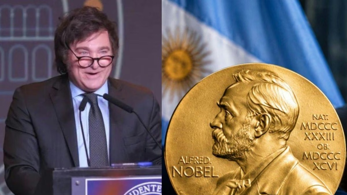 Milei tuvo que aclarar que entiende una frase de primaria: ¡el Nobel de Economía ahora rinde comprensión de texto!